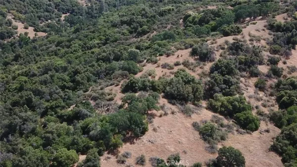 $60,000 | 15 Acres, Little River-Academy, TX 76554