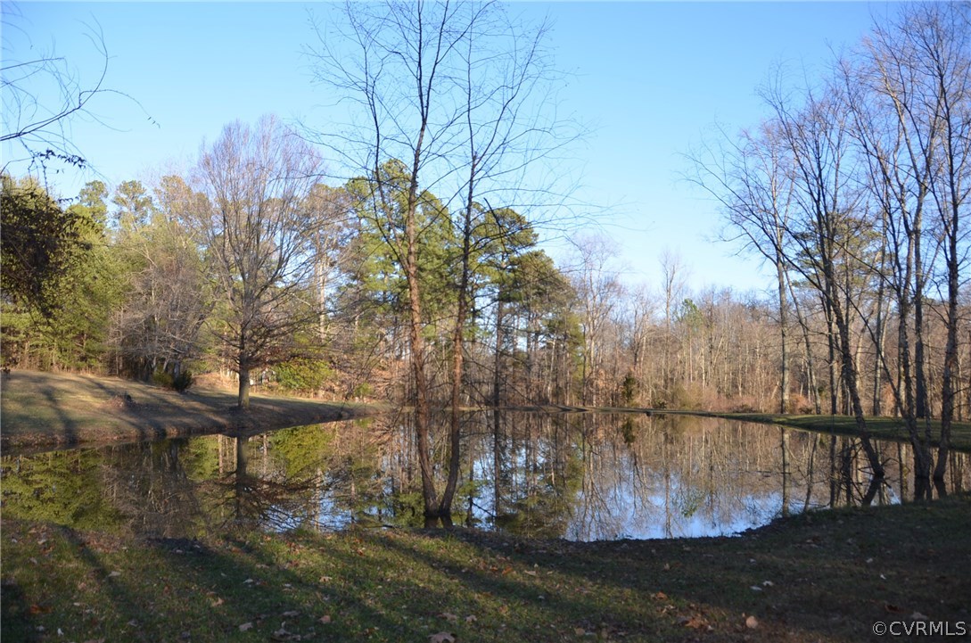 13133 Scotchtown Road Beaverdam, VA 23015 - Photo 43 of 49 Gallery Image 43