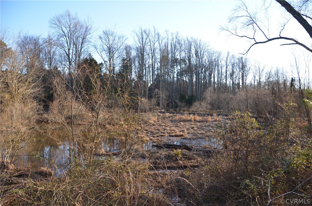 13133 Scotchtown Road Beaverdam, VA 23015 - Photo 45 of 49 Creek along back of property