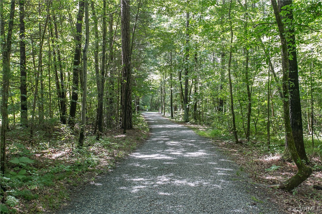 13133 Scotchtown Road Beaverdam, VA 23015 - Photo 46 of 49 Private wooded driveway