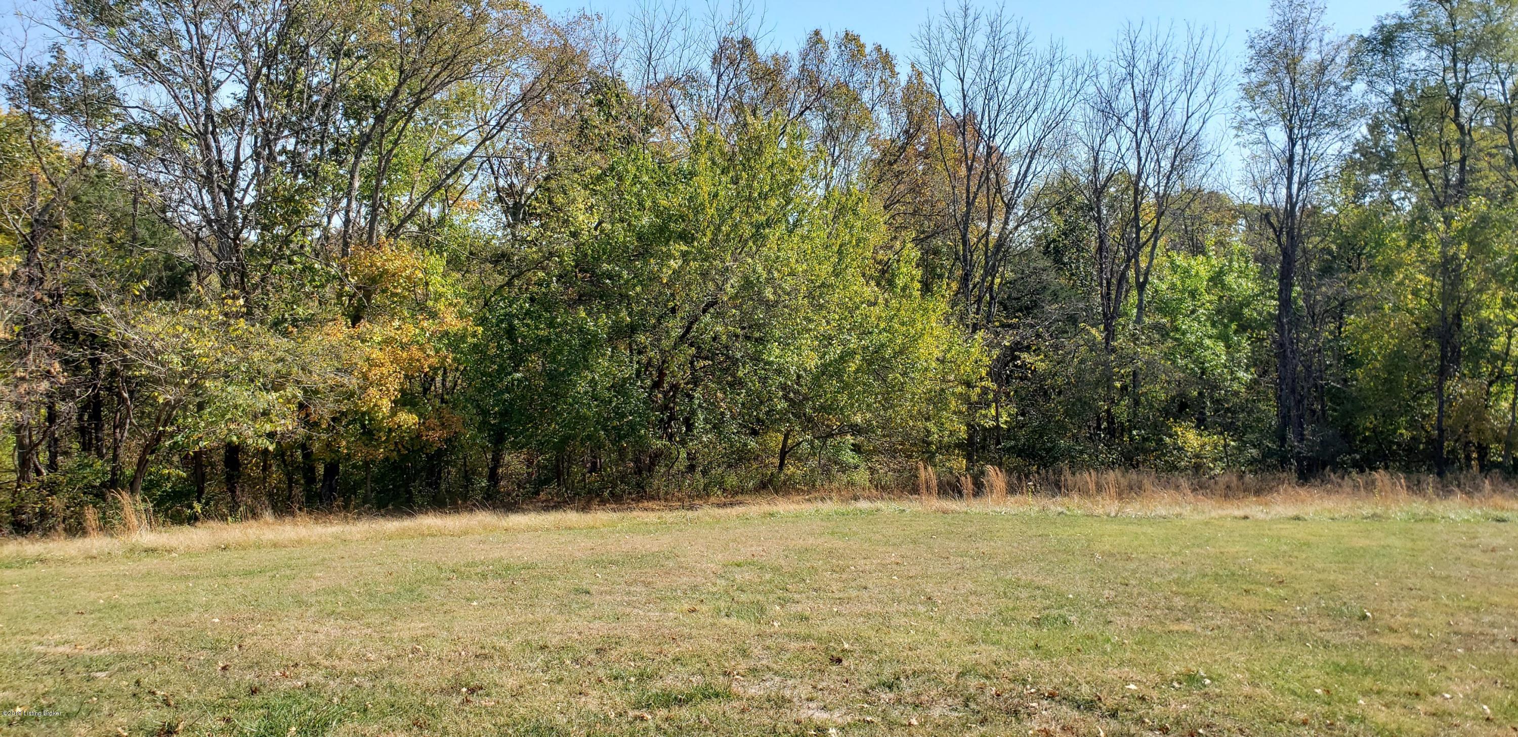 2110 Ridge Road Pendleton, KY 40055 - Photo 6 of 19 side yard