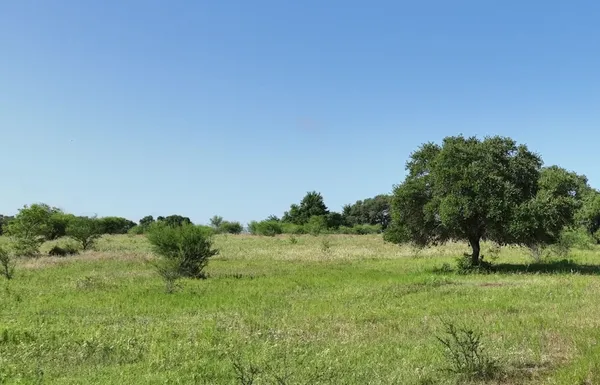 $401,676 | 209 Cr 209 Road, Weimar, TX 78962