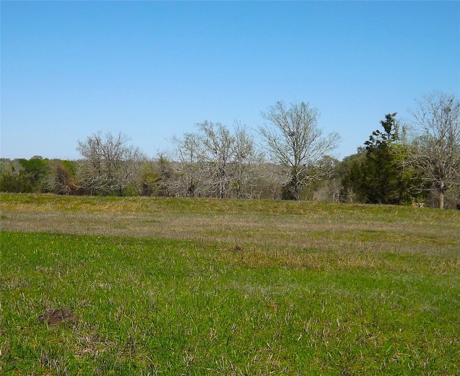 209 Cr 209 Road Weimar, TX 78962 - Photo 6 of 7