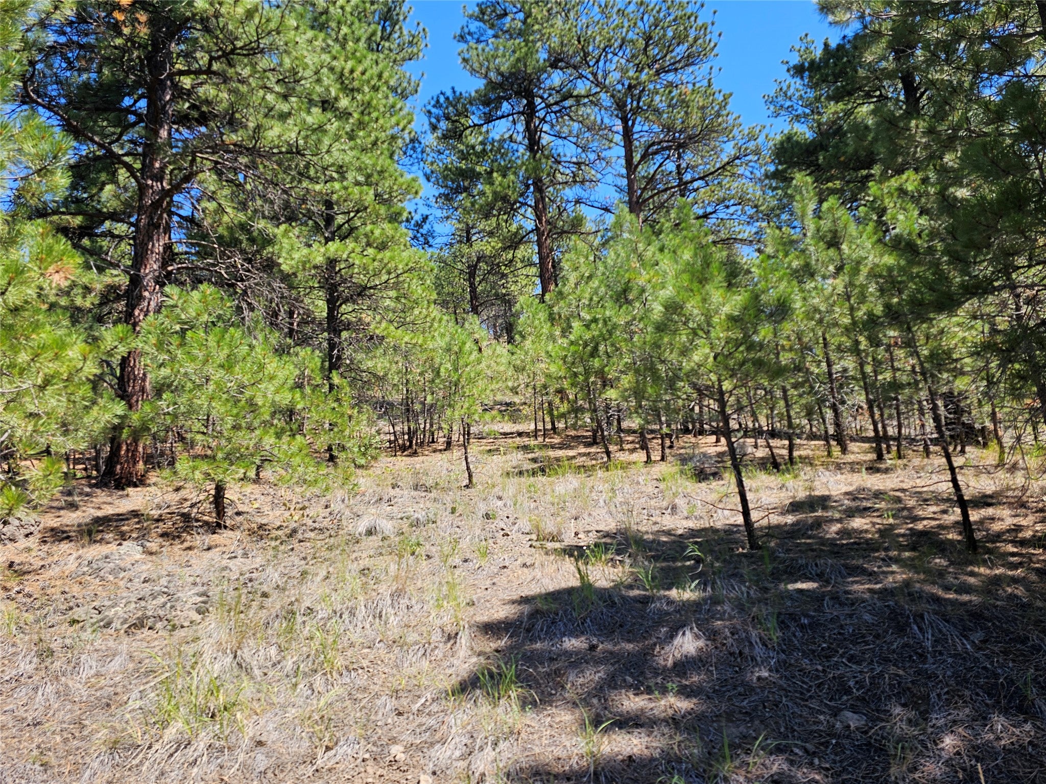 Nhn Upper Sawmill Creek Road Cascade, MT 59421 - Photo 6 of 28 Gallery Image 6
