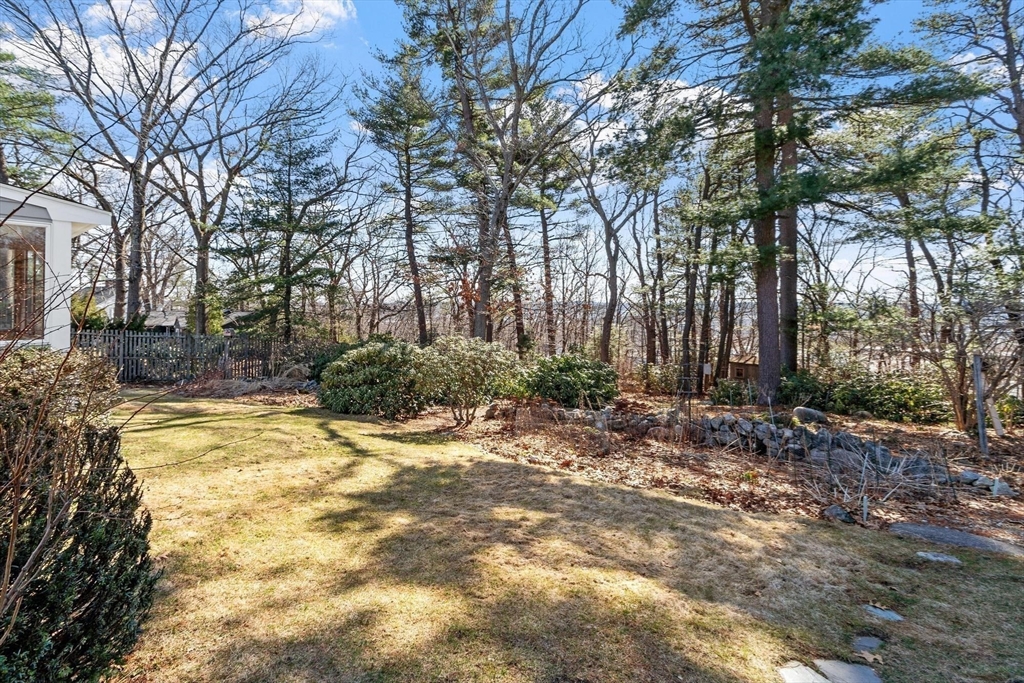 26 Lothrop Road Reading, MA 01867 - Photo 32 of 41 a view of a yard with plants and trees