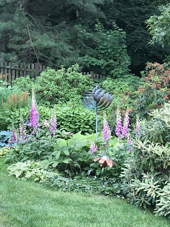 26 Lothrop Road Reading, MA 01867 - Photo 33 of 41 a view of a flower in a garden with a flower garden