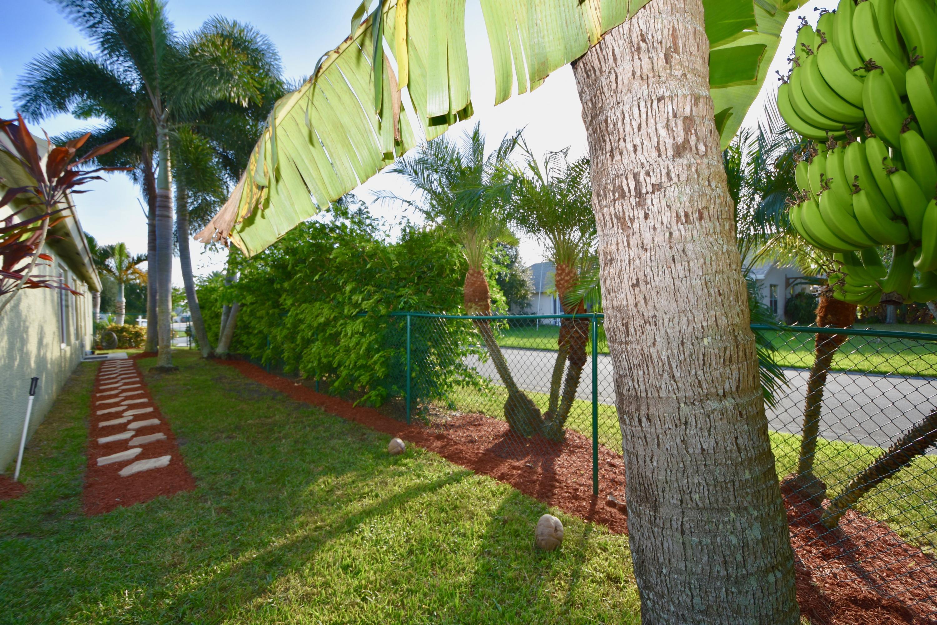 2469 Southwest Regency Road Stuart, FL 34997 - Photo 43 of 75 SIDE YARD