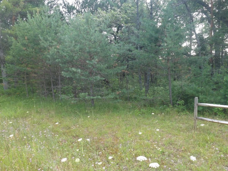 Mckinley Road Mio, MI 48647 - Photo 11 of 12 Gallery Image 11