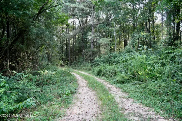 $49,000 | 16 County Road, Louin, MS 39338