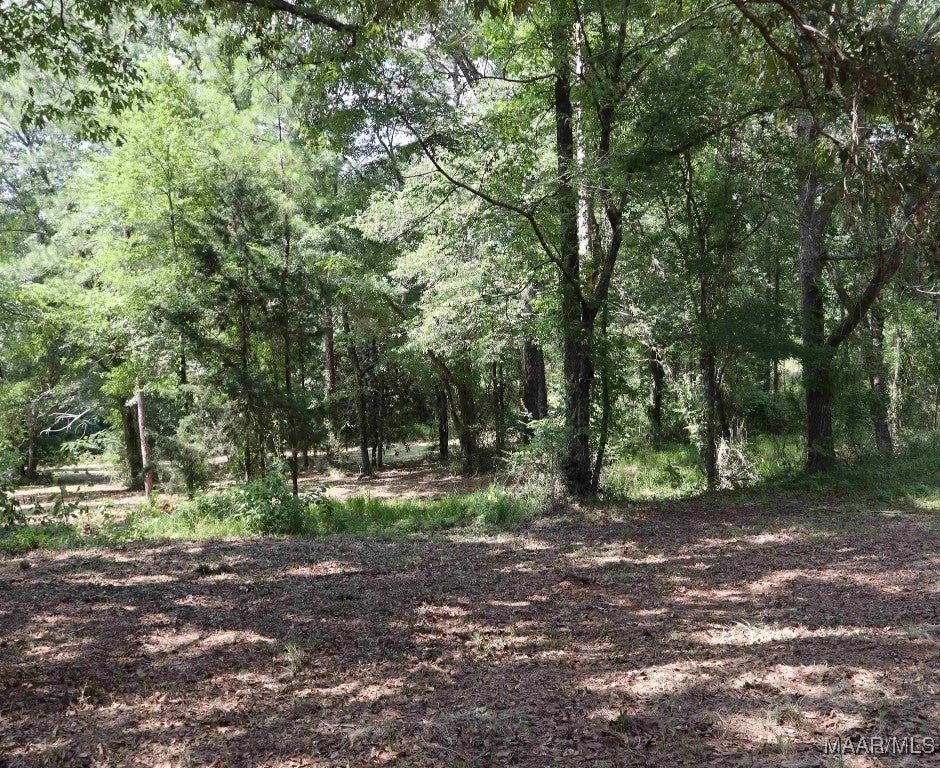 13288 Pinewood Road Andalusia, AL 36421 - Photo 3 of 19 Gallery Image 3