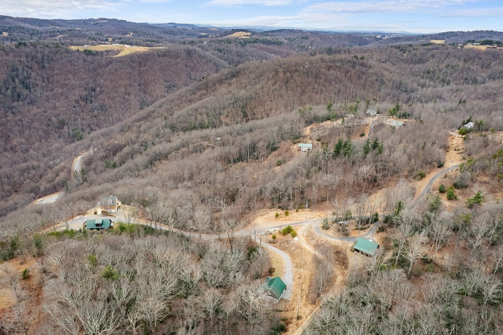 799 Crystal Spring Drive Fancy Gap, VA 24328 - Photo 37 of 43 Gallery Image 37