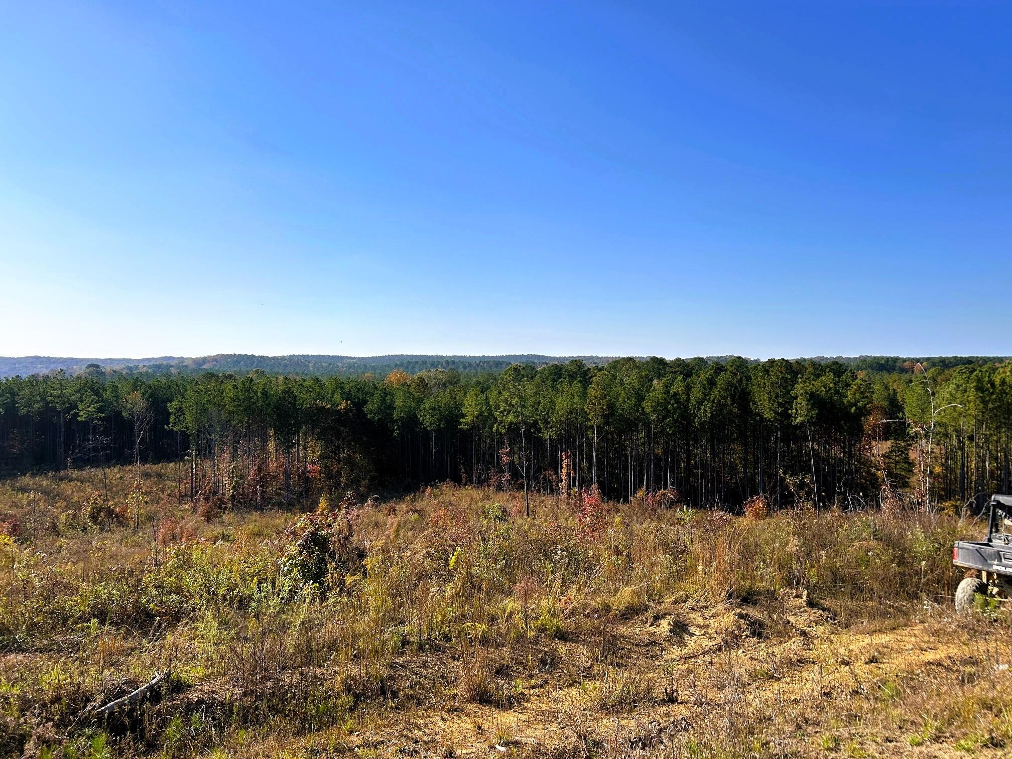 17 Hughes Lake Road Southeast Cleveland, TN 37323 - Photo 25 of 25