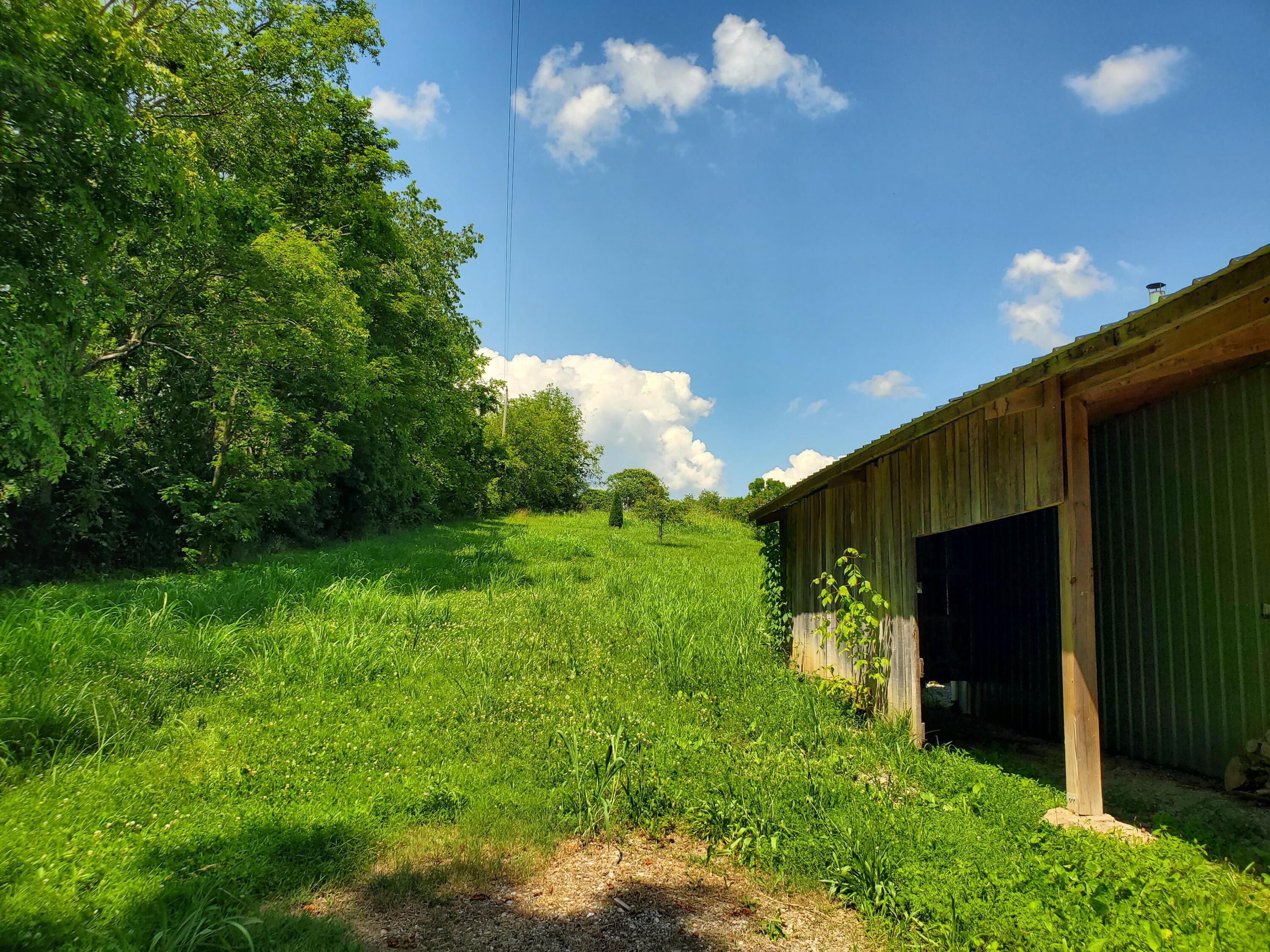 1778 Elkin Road Winchester, KY 40391 - Photo 48 of 52 20250624_154005