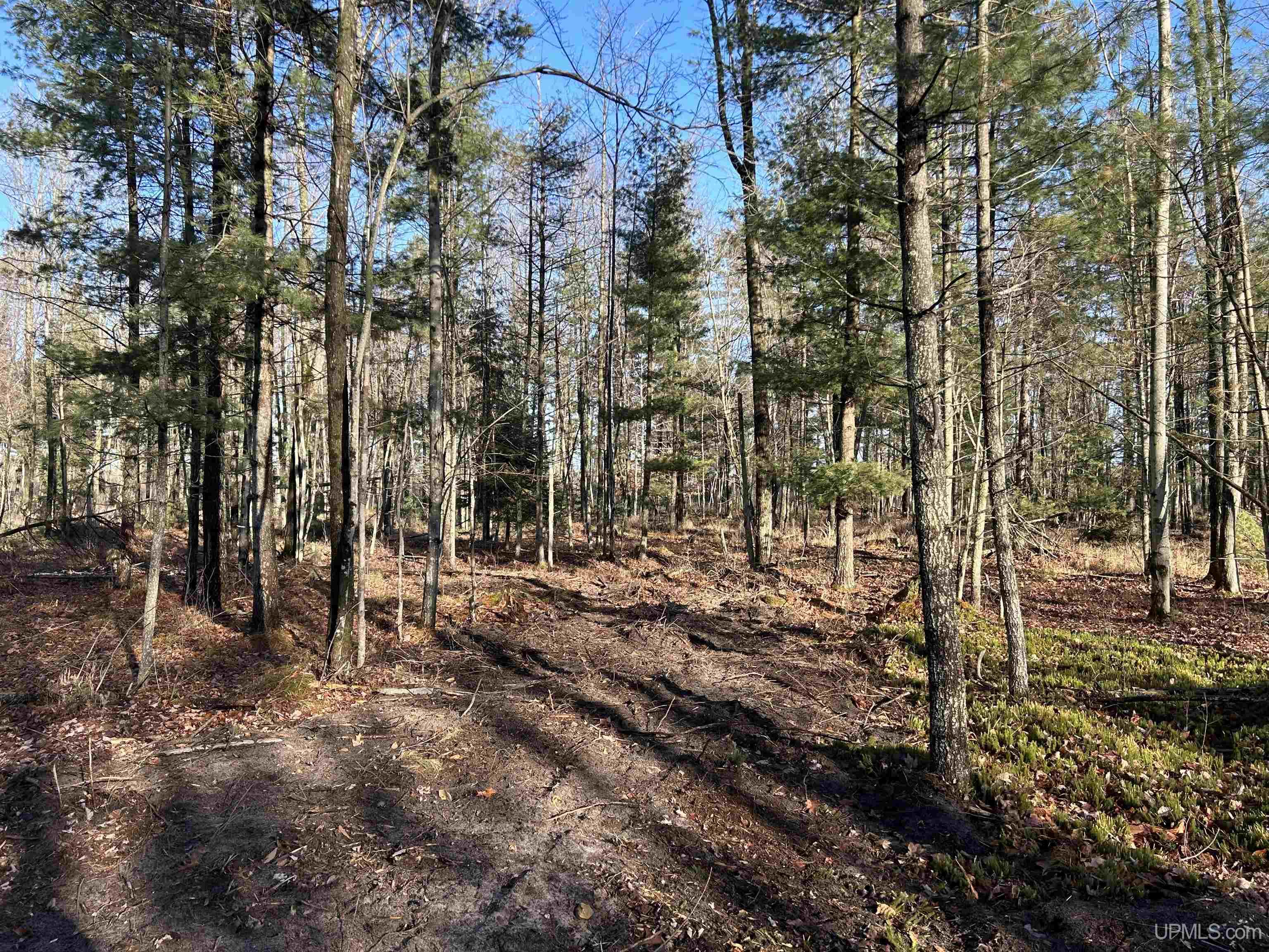 Tbd Tbd Old State South Parcel K Road Escanaba, MI 49829 - Photo 2 of 2