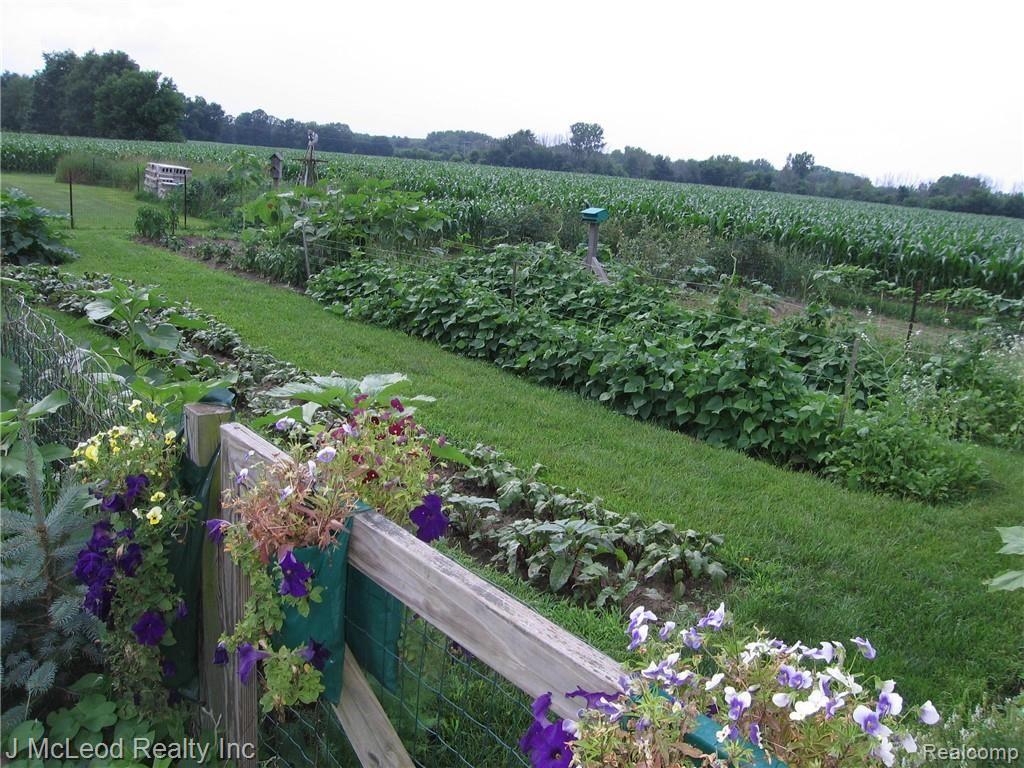 10104 Currier Road Millington, MI 48746 - Photo 22 of 33 2013 down on the farm 001 - Copy.JPG