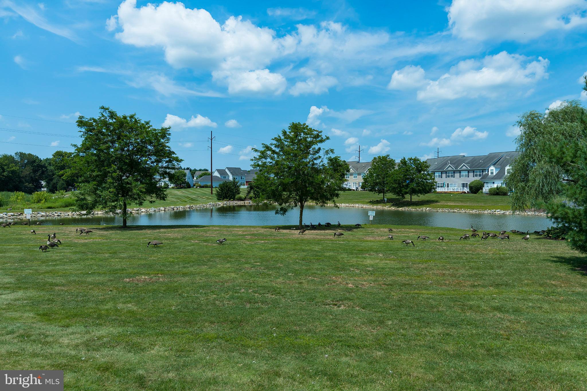 794 Wallingford Road Lititz, PA 17543 - Photo 58 of 67 Community pond