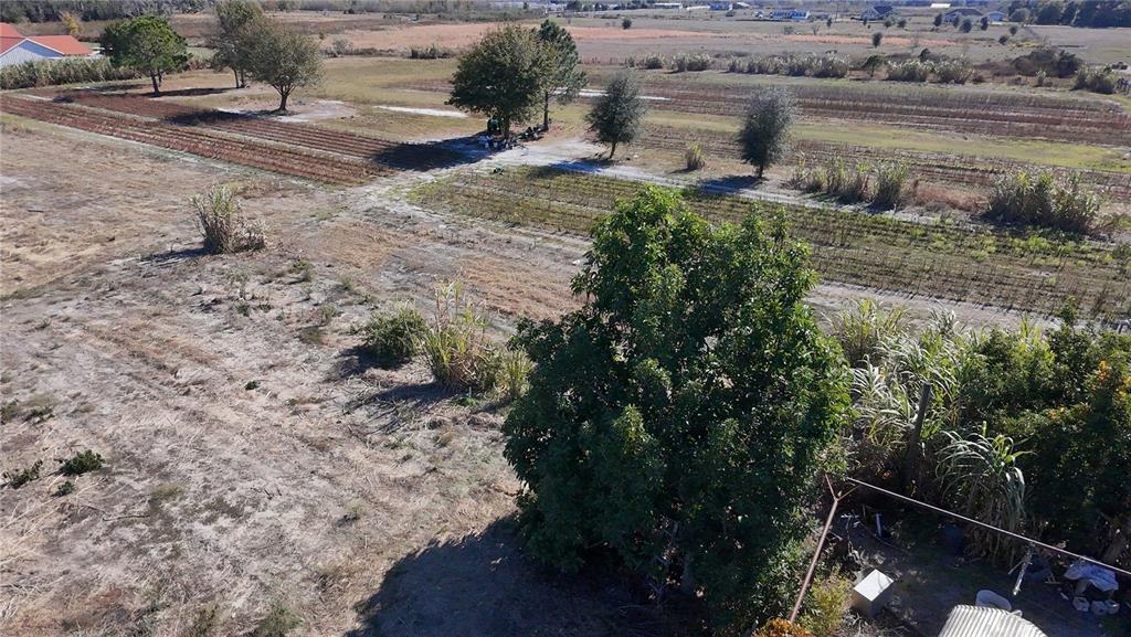2303 Sands Road Lakeland, FL 33810 - Photo 2 of 11 a view of a yard with wooden fence