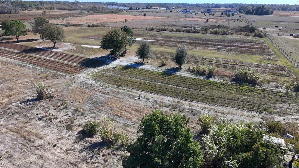 2303 Sands Road Lakeland, FL 33810 - Photo 4 of 11 a view of a backyard of the house