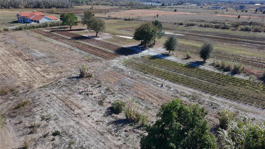 2303 Sands Road Lakeland, FL 33810 - Photo 6 of 11 a view of a backyard of the house