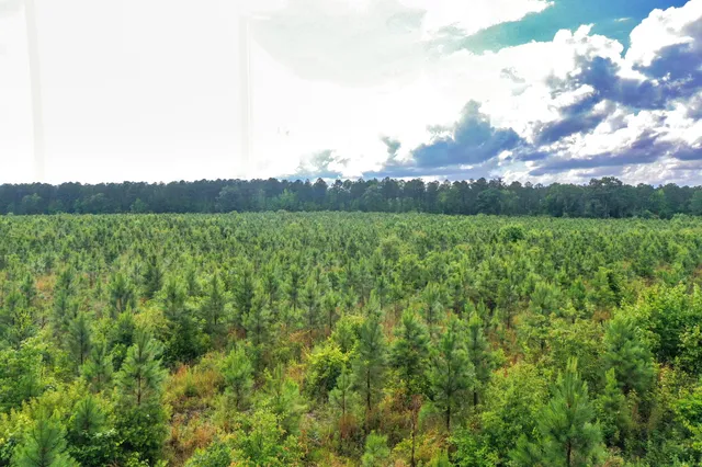 $299,500 | 0 North Brewington Road, Unit 3, Manning, SC 29102