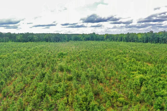 $299,500 | 0 North Brewington Road, Unit 3, Manning, SC 29102