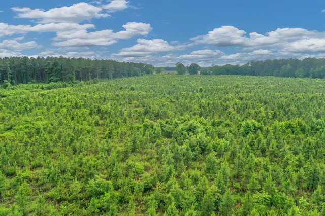 $299,500 | 0 North Brewington Road, Unit 3, Manning, SC 29102