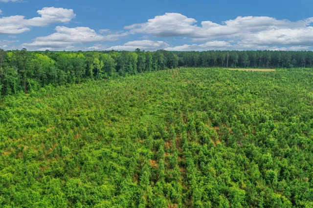 $299,500 | 0 North Brewington Road, Unit 3, Manning, SC 29102