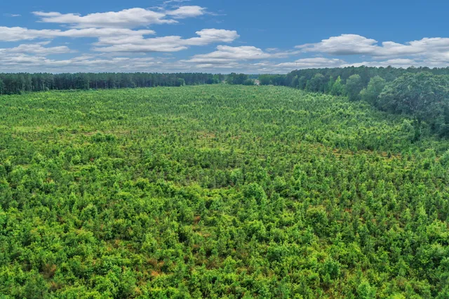 $299,500 | 0 North Brewington Road, Unit 3, Manning, SC 29102