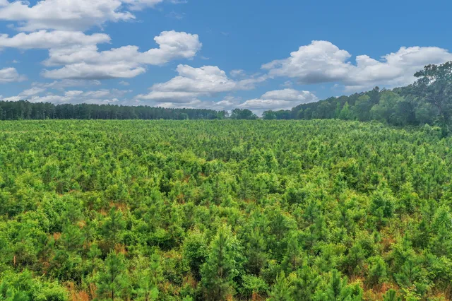 $299,500 | 0 North Brewington Road, Unit 3, Manning, SC 29102