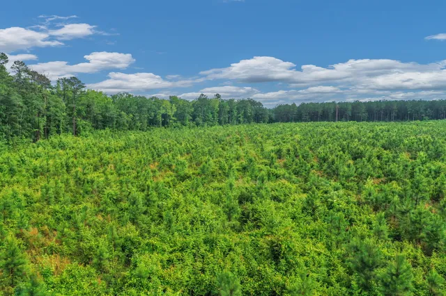 $299,500 | 0 North Brewington Road, Unit 3, Manning, SC 29102