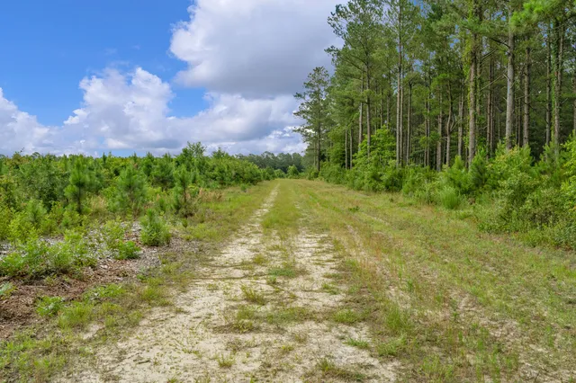 $299,500 | 0 North Brewington Road, Unit 3, Manning, SC 29102