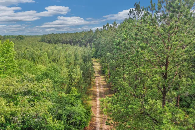 $299,500 | 0 North Brewington Road, Unit 3, Manning, SC 29102