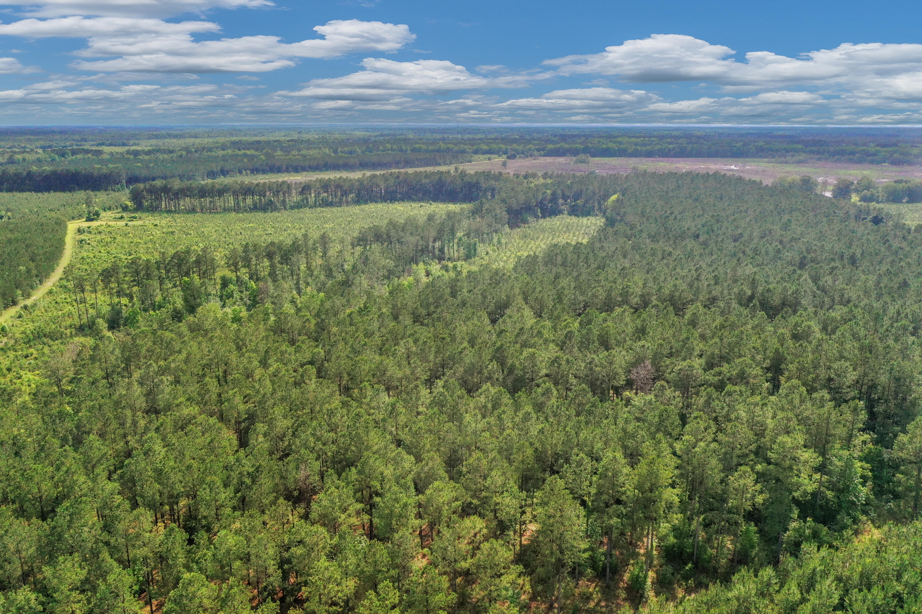 0 North Brewington Road, Unit 3 Manning, SC 29102 - Photo 23 of 43 DJI_0697