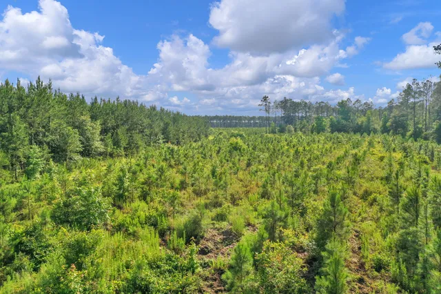 $299,500 | 0 North Brewington Road, Unit 3, Manning, SC 29102