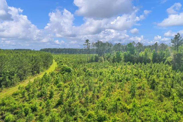 $299,500 | 0 North Brewington Road, Unit 3, Manning, SC 29102