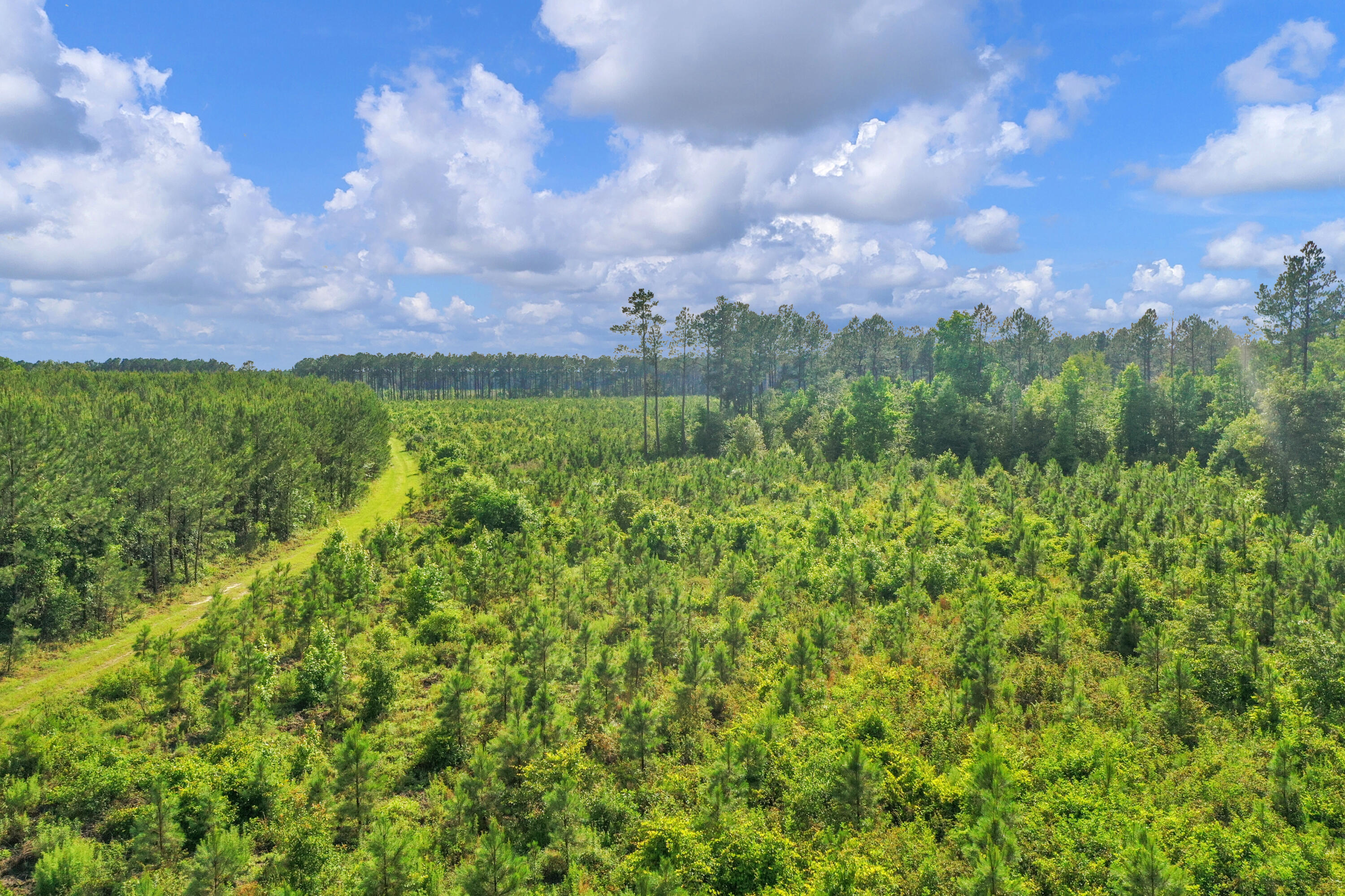 0 North Brewington Road, Unit 3 Manning, SC 29102 - Photo 25 of 43 DJI_0737