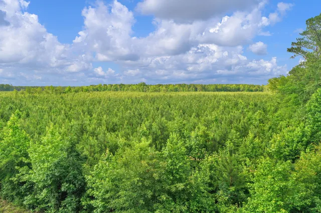 $299,500 | 0 North Brewington Road, Unit 3, Manning, SC 29102