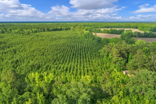 $299,500 | 0 North Brewington Road, Unit 3, Manning, SC 29102