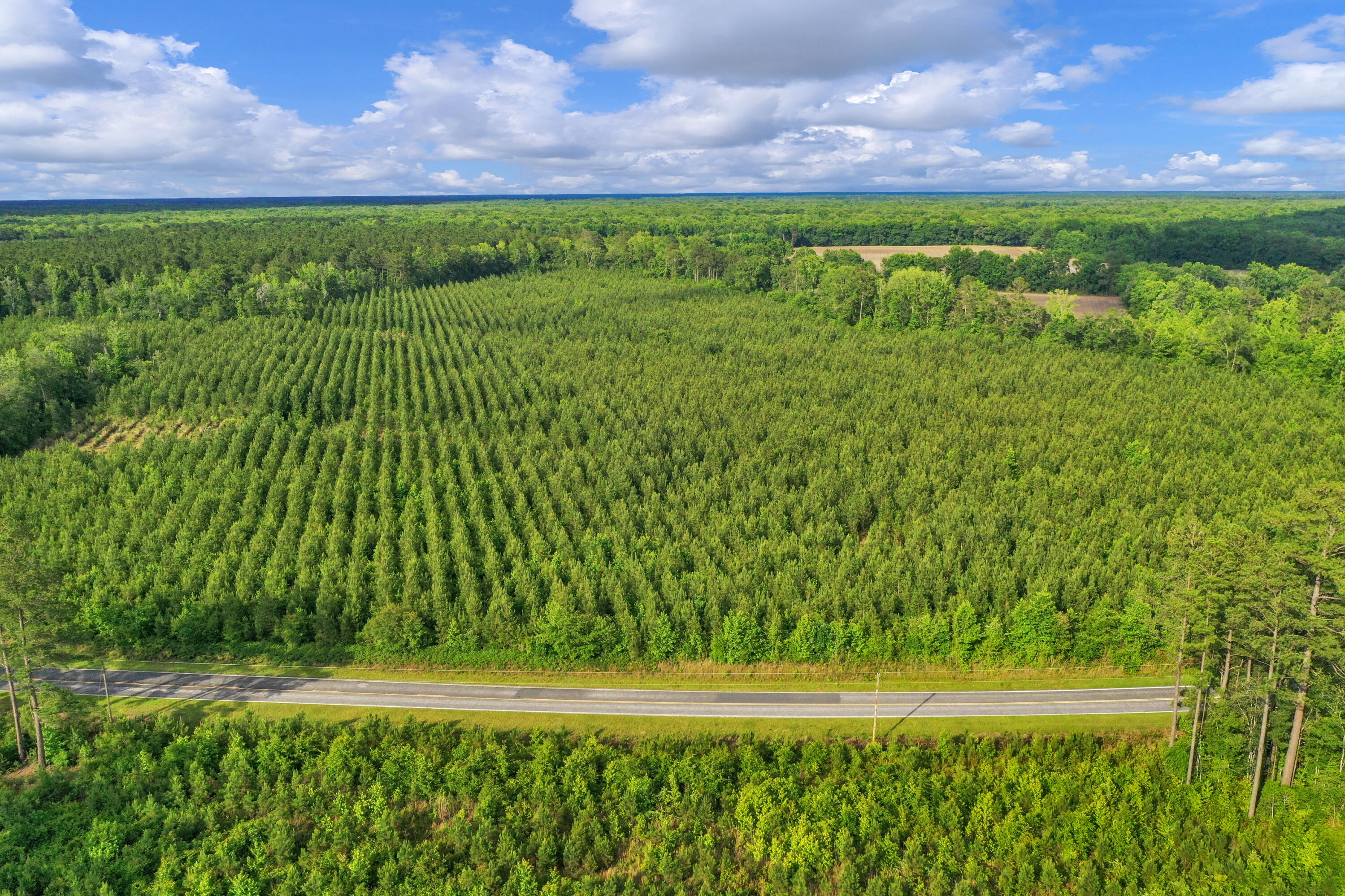 0 North Brewington Road, Unit 3 Manning, SC 29102 - Photo 28 of 43 DJI_0762