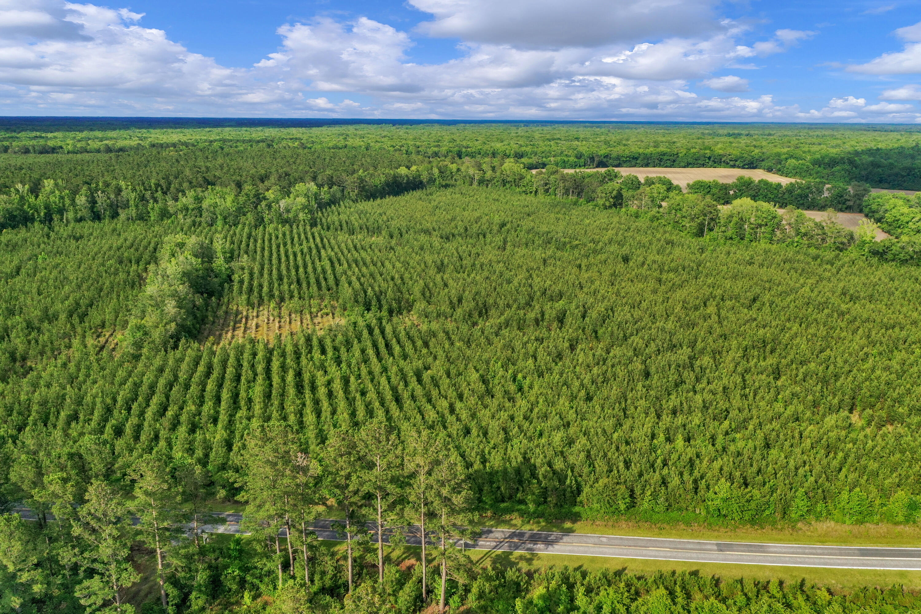 0 North Brewington Road, Unit 3 Manning, SC 29102 - Photo 29 of 43 DJI_0765