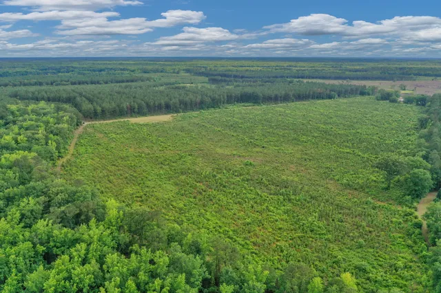 $299,500 | 0 North Brewington Road, Unit 3, Manning, SC 29102