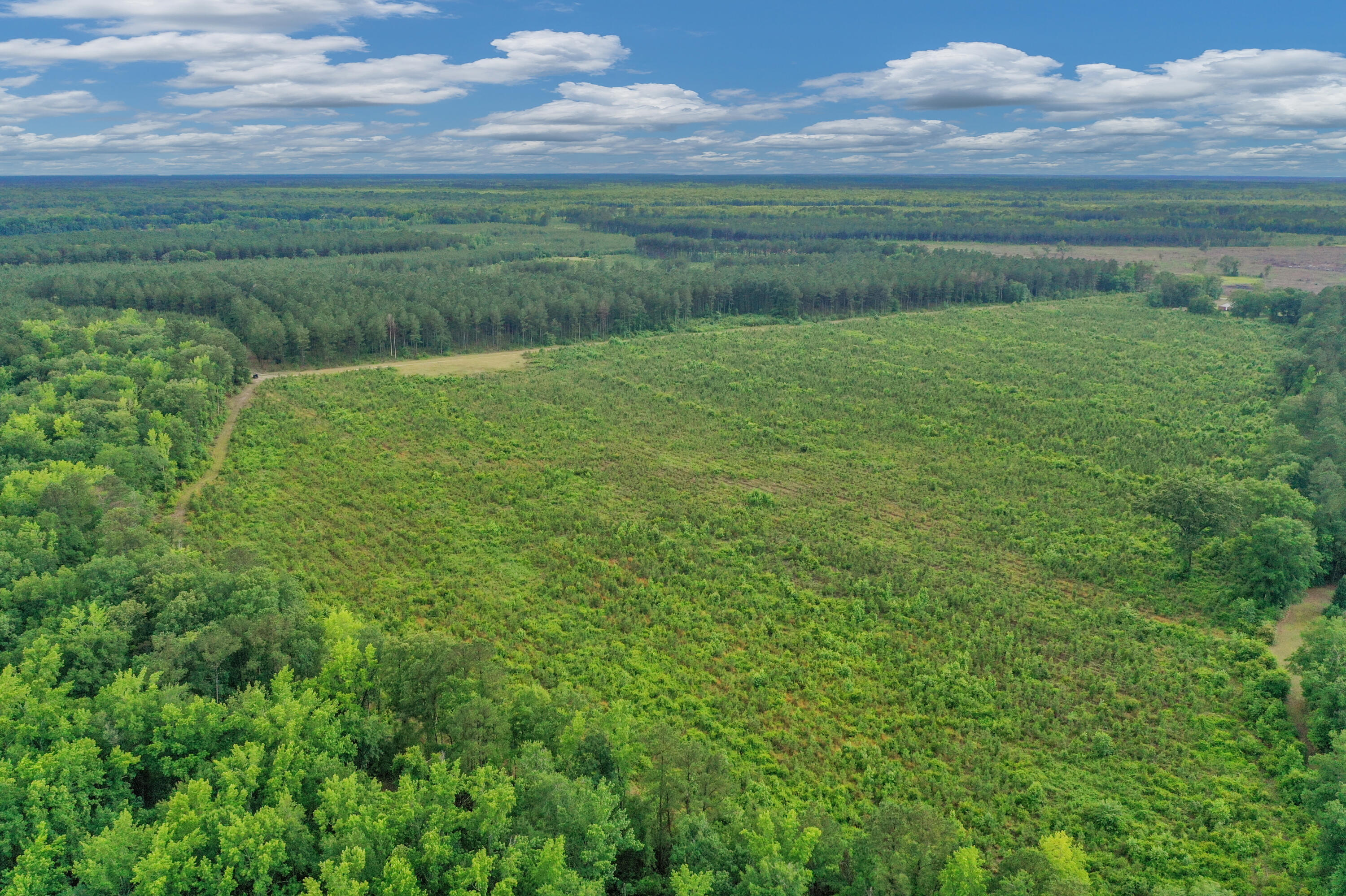 DJI_0659
