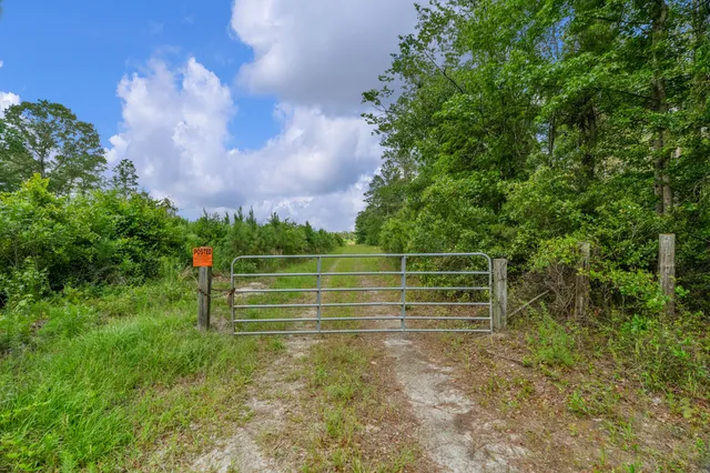 $299,500 | 0 North Brewington Road, Unit 3, Manning, SC 29102