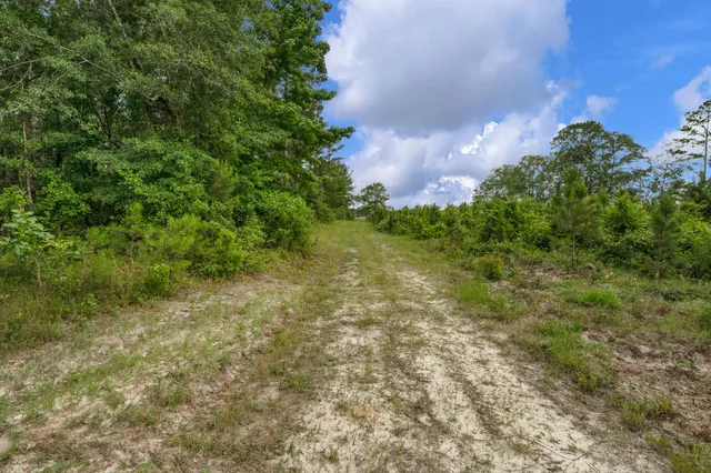 $299,500 | 0 North Brewington Road, Unit 3, Manning, SC 29102