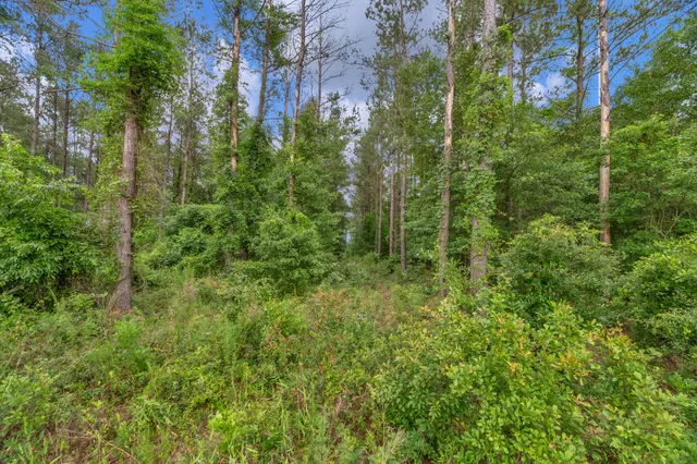 $299,500 | 0 North Brewington Road, Unit 3, Manning, SC 29102