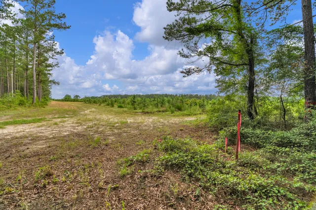 $299,500 | 0 North Brewington Road, Unit 3, Manning, SC 29102