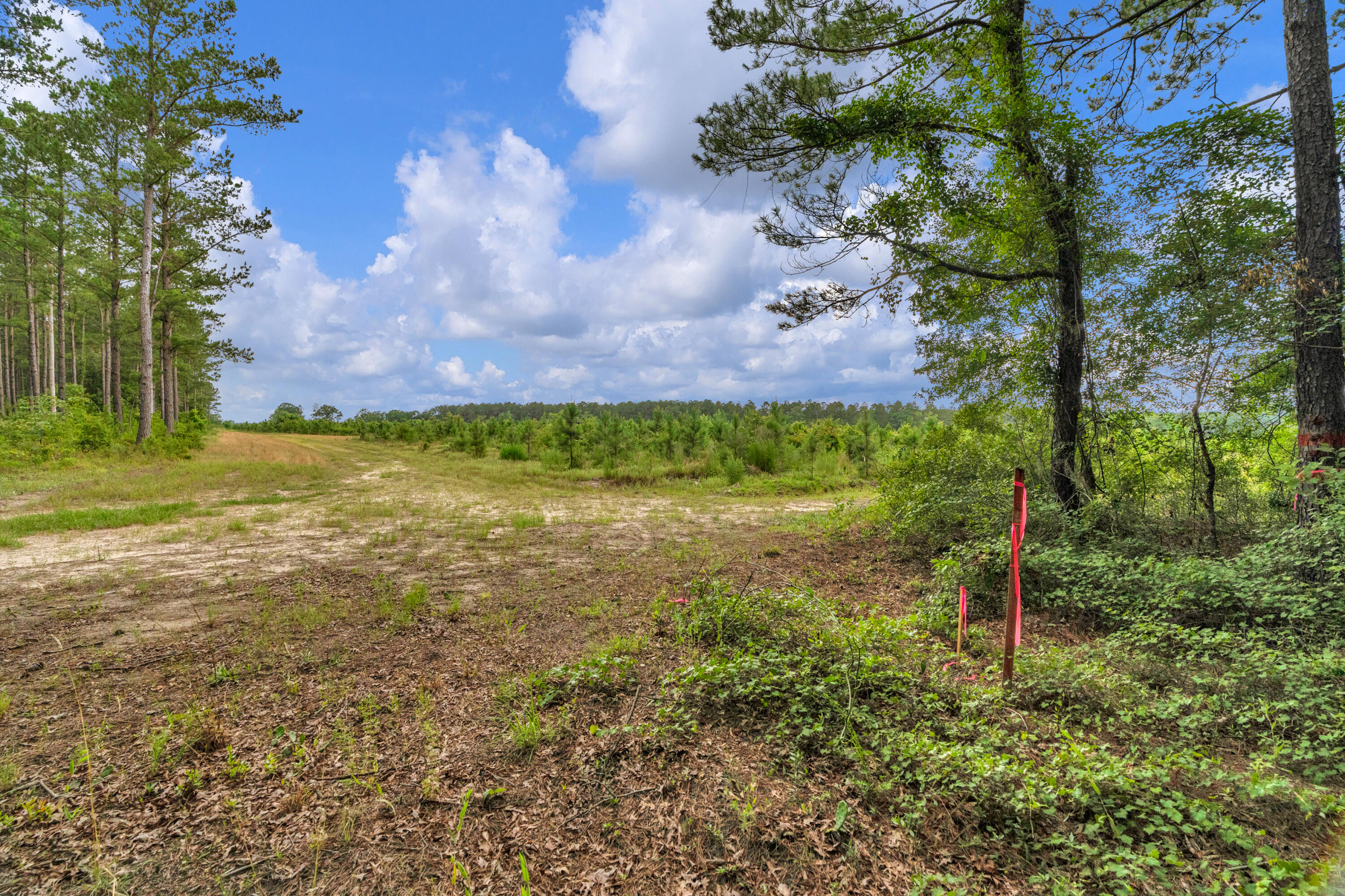 0 North Brewington Road, Unit 3 Manning, SC 29102 - Photo 35 of 43 DSC05472