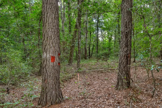 $299,500 | 0 North Brewington Road, Unit 3, Manning, SC 29102