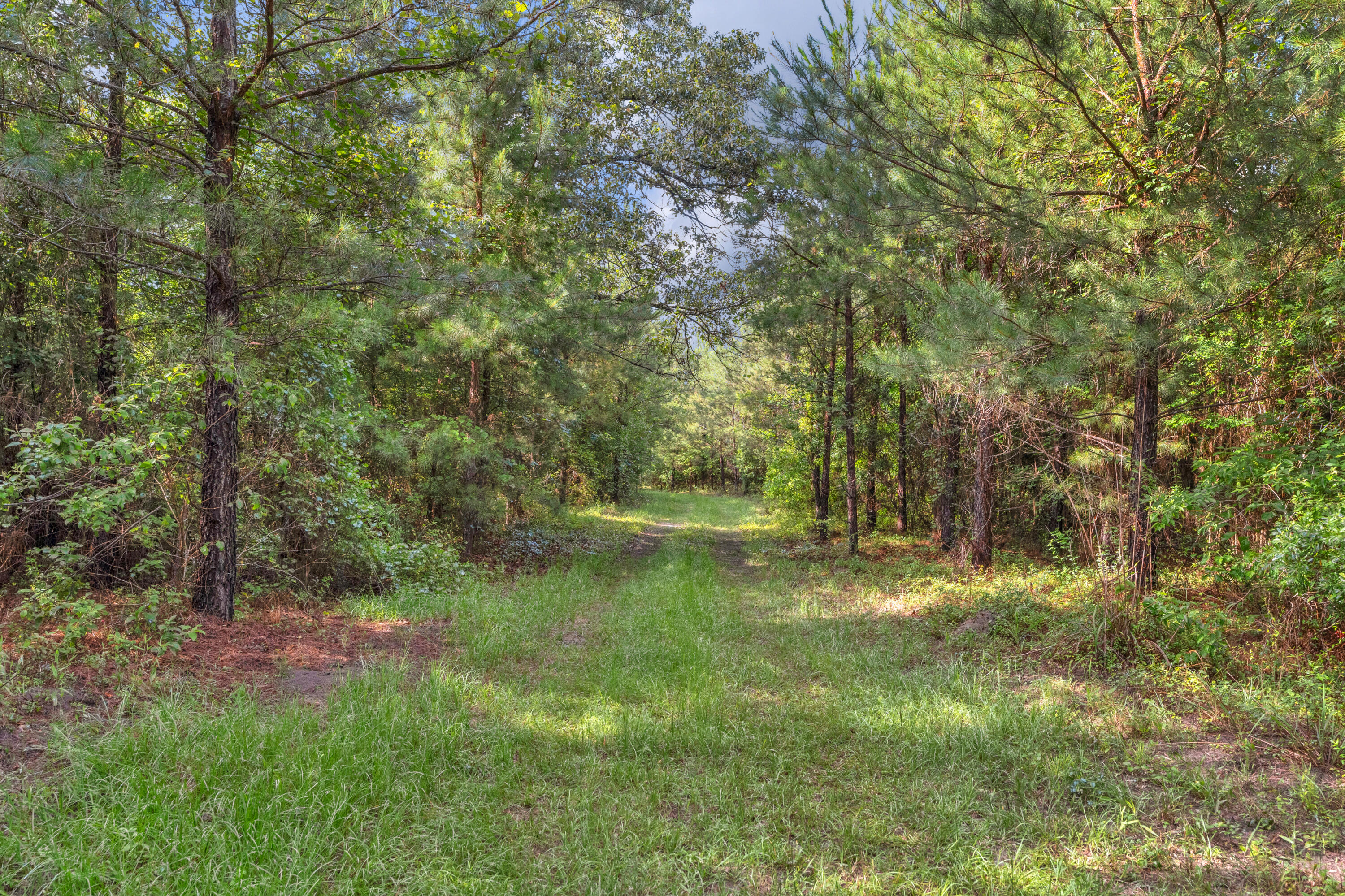 0 North Brewington Road, Unit 3 Manning, SC 29102 - Photo 38 of 43 DSC05481