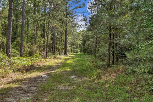 $299,500 | 0 North Brewington Road, Unit 3, Manning, SC 29102